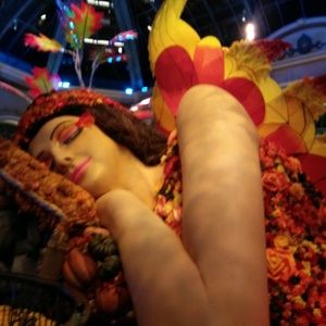 Meet your Posher, Minta